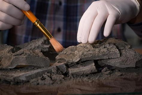 a researcher who uses carbon dating on ancient items